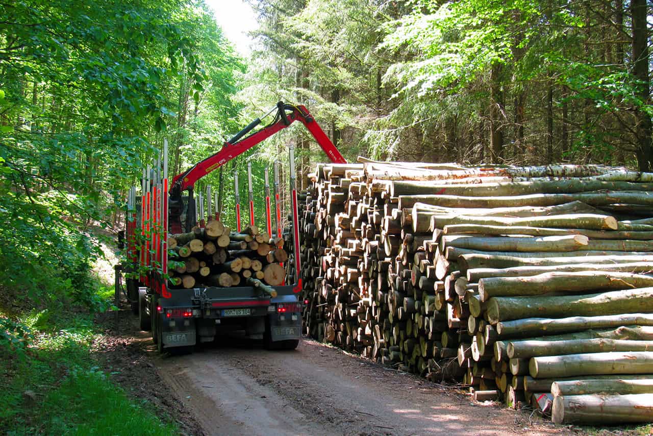 Holzeinschlag und Rückung beim Forstbetrieb Sartoris Kirkel