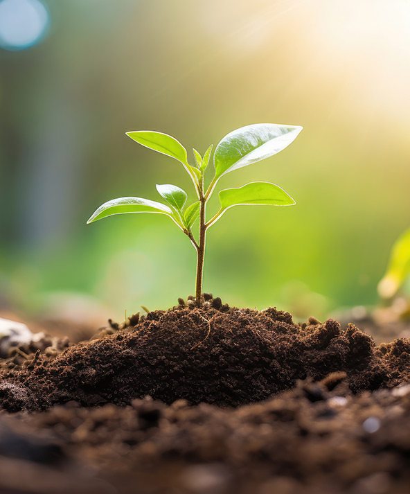 Qualität und Nachhaltigkeit im Forstbetrieb Saarland