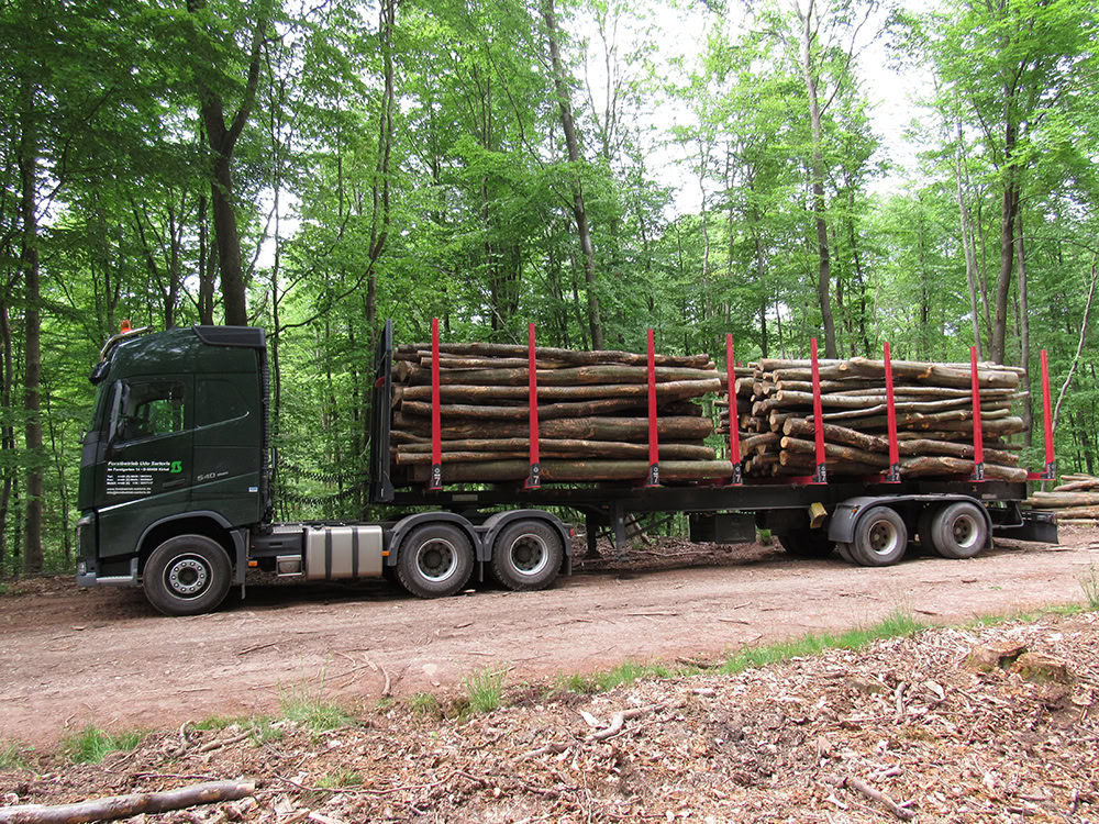 Holztransport - Forstbetrieb Sartoris