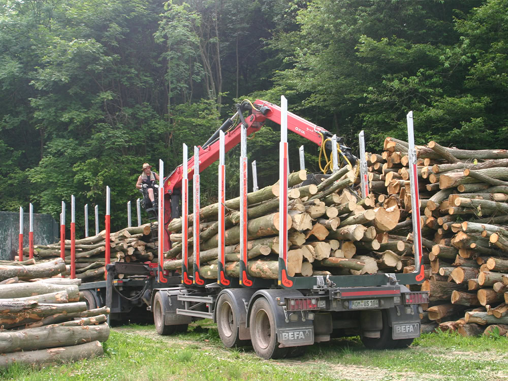 Holztransport - Forstbetrieb Sartoris