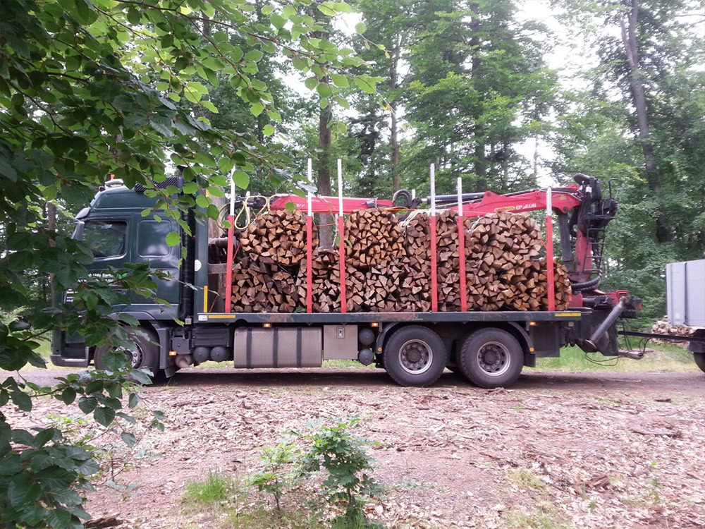 Holztransport - Forstbetrieb Sartoris
