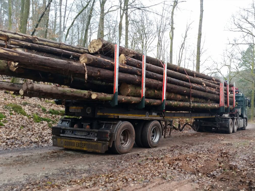 Holztransport - Forstbetrieb Sartoris