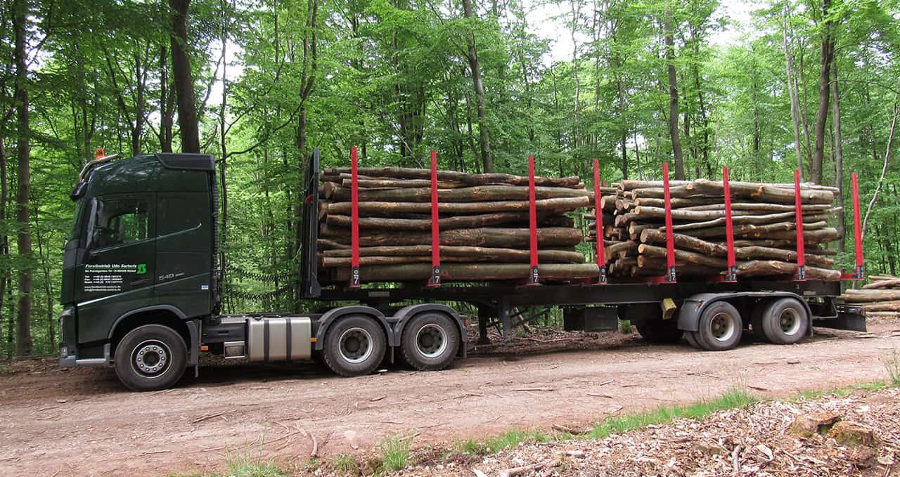 Forstbetrieb Saarland - Sartoris Kirkel